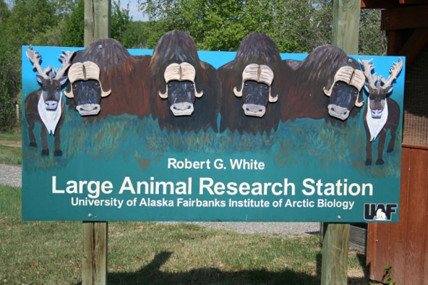 large animal research pic